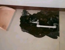静海卫生间测漏水多少钱